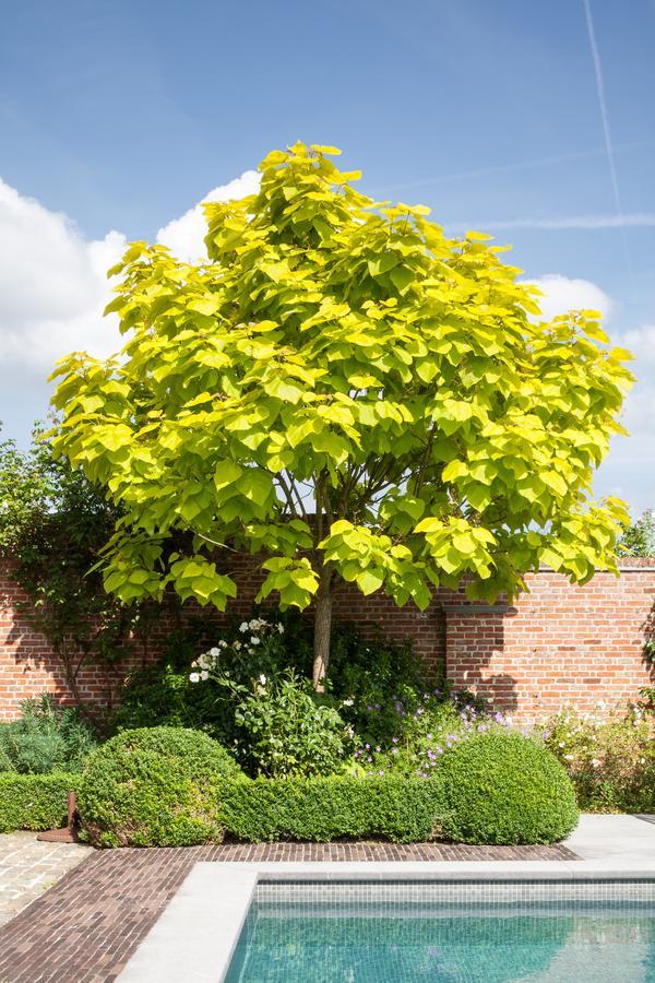 B&B De Lievde Lievegem Luaran gambar