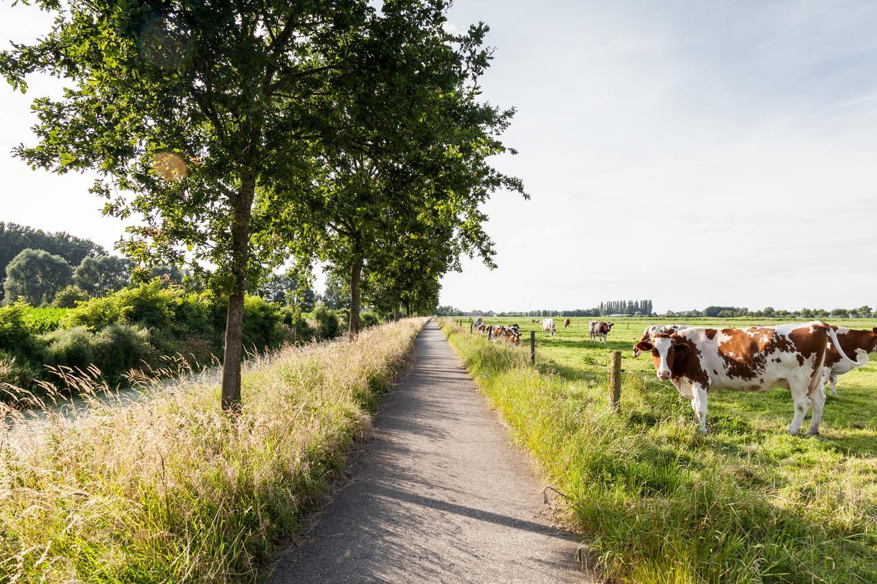 B&B De Lievde Lievegem Luaran gambar